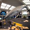 The AMNH's Annual Whale Wash Is Happening!